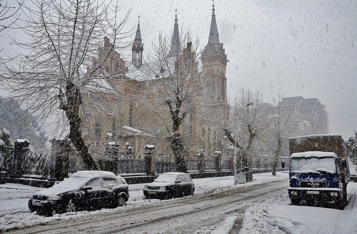 Пальмы в снегу фото